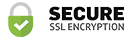 Protected by 256-bit SSL security